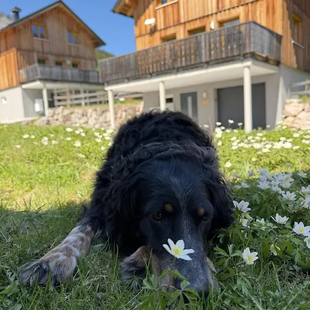 Chalet Hideaway Loser - 7 By Aa Homes Altaussee